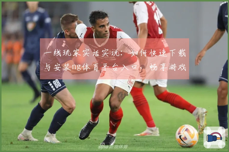 一线玩家实话实说：如何快速下载与安装ng体育平台入口，畅享游戏乐趣