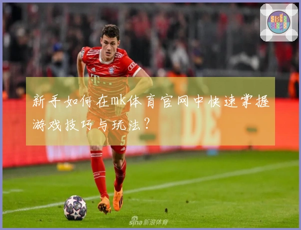 新手如何在mk体育官网中快速掌握游戏技巧与玩法？