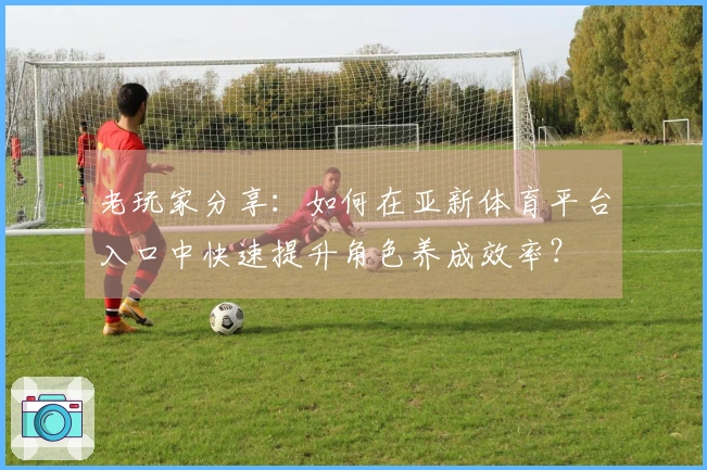 老玩家分享：如何在亚新体育平台入口中快速提升角色养成效率？